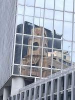 ... in Wellington (4)