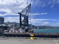 ... in Wellington (19)