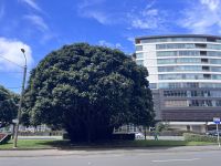 ... in Wellington (23)