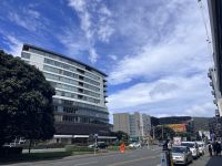 ... in Wellington (24)