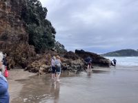 Hot Water Beach (4)