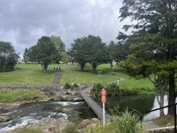 Whangarei Falls (1)