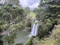Whangarei Falls (3)