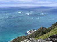 Cape Reinga (7)