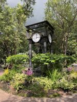 Sightseeing Singapore (8)