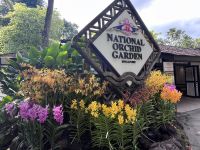 Sightseeing Singapore (7)