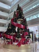 ...at the Marina Bay Sands (1)