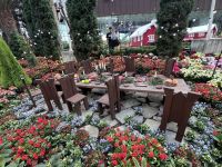 Singapore flower dome (2)