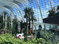 Singapore flower dome (10)