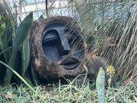 Singapore flower dome (8)