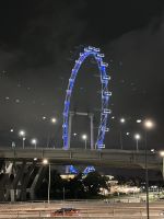 Signapore at night (5)