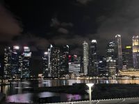 Signapore at night (3)