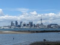 Auckland Skyline