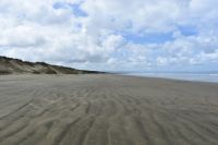 Ninety Miles Beach
