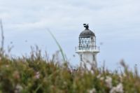 Cape Reinga Leuchtturm