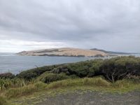 Hokianga Harbour