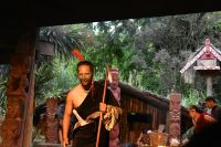 Maori Show