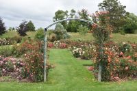 Toilettenstopp mit Rosengarten