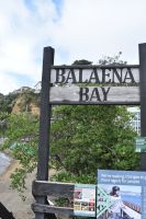 Balaena Bay