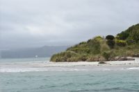 Monarch Wildlife Cruises -Robbensichtung