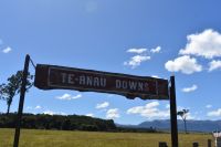 Te Anau Downs