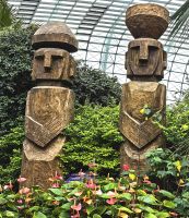 Erinnert ein wenig an die Osterinseln, Flower Dome, Singapur