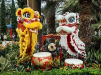 Ein wenig Asiafeeling in den Gardens by the bay in Singapur