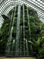 Riesiger Wasserfall, Gardens by the Bay, Cloud Forest, Nebelwald, Singapur