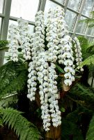 Wir sind einfach nur neidisch und hätten so etwas gern im heimischen Wohnzimmer :-)