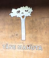 Tane Mahuta, der Wald der riesigen Kauribäume, Nordinsel Neuseelands