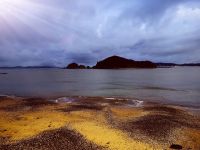 Strand von Paihia