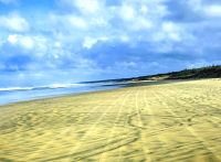 Menschenleerer Strand an der Henderson Bay