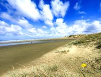 Henderson Bay, Endlosstrand