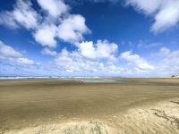 Henderson Bay, Endlosstrand