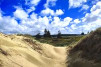 Gleich hinter den Sandhügeln beginnt üppiges Grün, Henderson Bay