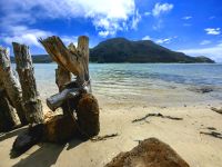 Mittagspause am Strand