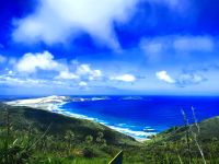 Bilderbuchstrand am Cape Reinga, wo sich der Pazifik und die Tasmansee begegnen