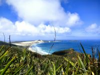 Pazifik und Tasmansee treffen sich am Cap Reinga