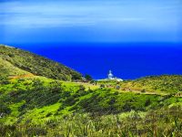 Der Leuchtturm am Cape Reinga