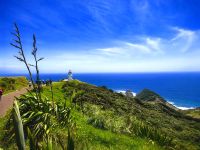 Cape Reinga, der nordwestlichste Punkt der Nordinsel Neuseelands