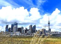 Skyline von Auckland