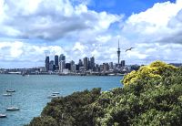 Blick auf Auckland