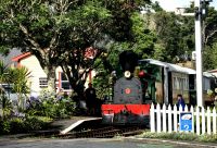 In der Kleinstadt Kawakawa fährt noch eine alte Dampflock mitten durch die Stadt