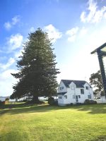 Wer einen Missionarsbaum in den Garten pflanzt, braucht viel Platz für ihn