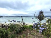 Coromandel Halbinsel