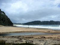 Strand auf der Coromandel Halbinsel