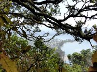 Wir besteigen den Mount Paku in Tairuha
