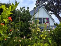 Kleines Häuschen in Tairuha mit bunt blühendem Vorgarten