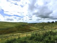 Landschaft bei Hobbiton, etwas für Herr der Ringe Fans