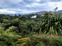 Geothermalgebiet Te Puia bei Rotorua